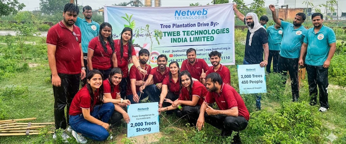 Tree Plantation